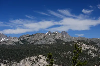 DSC_9964 (Large).JPG